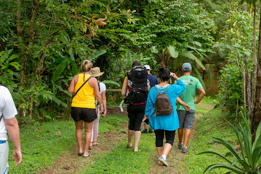 Discover Our Tours - Thumbnail