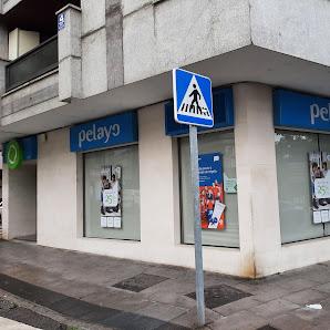 Oficina Seguros Pelayo Av. Facultad de Veterinaria, 13, 24004 León, España