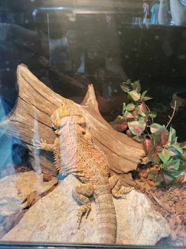 Grant Family Exotics - Thumbnail