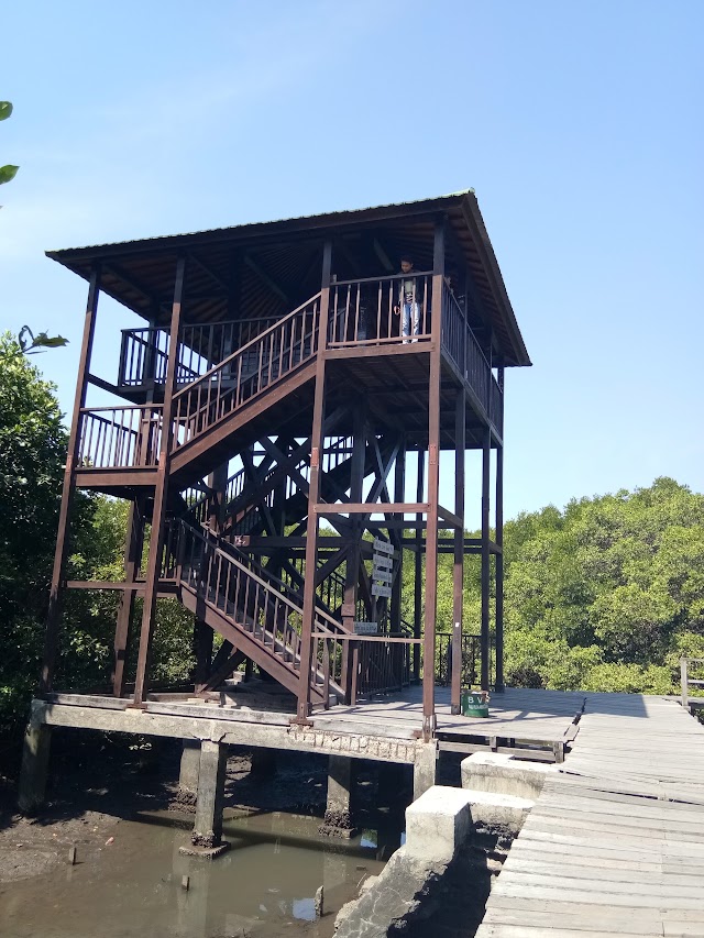 Mangrove Forest Suwung Kawuh
