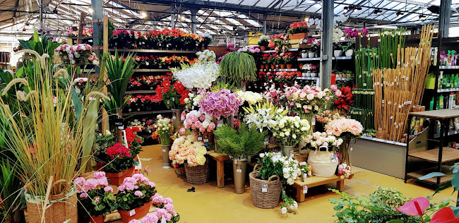 1 BIS Avenue Jean Jaurès, Rn 34, 93330 Neuilly-sur-Marne