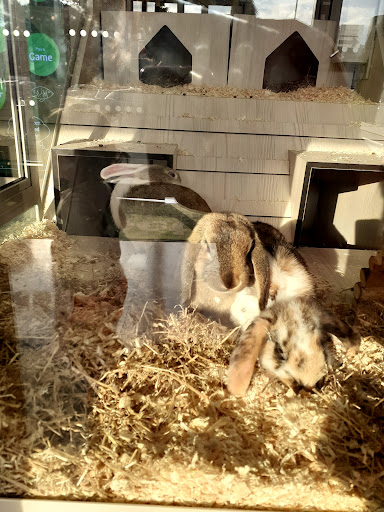 Pets at Home Norwich - Thumbnail
