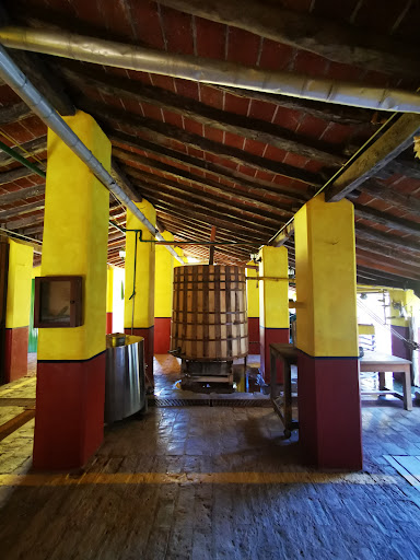 Los Osuna - Visual