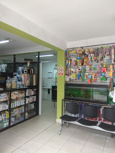 Clínica Veterinaria DR. BULLS 1