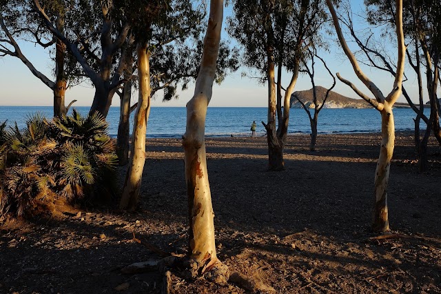 Playa de los Genoveses