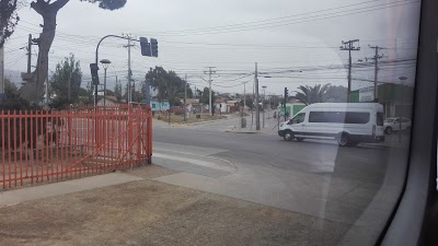 Photos of Terminal de Buses Pullman Bus Los Vilos