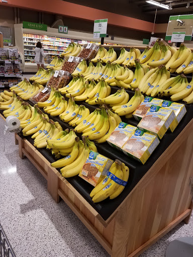 Publix Pharmacy at Village Shops at Grande Dunes - Thumbnail