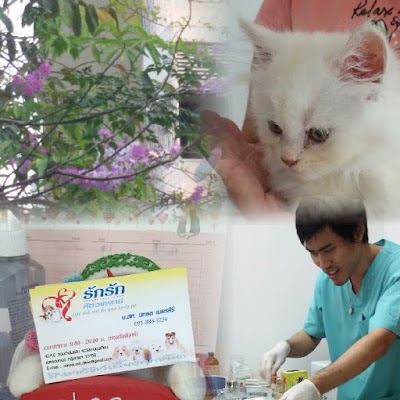 Veterinary Care