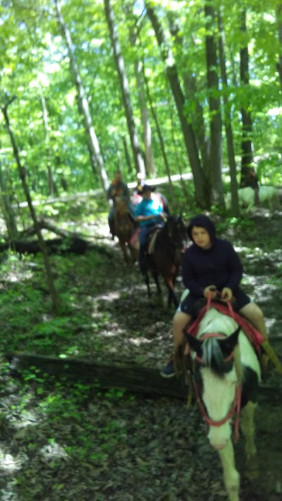 Photos of Uncle Buck's Riding Stable and Dance Barn