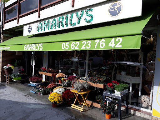 amarilys - Thumbnail