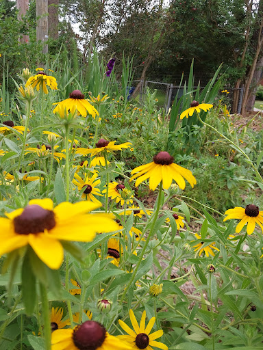 Woodbine Tiny Farm and Garden - Thumbnail