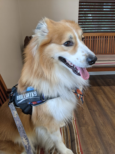 Gregory Veterinary Clinic - Thumbnail