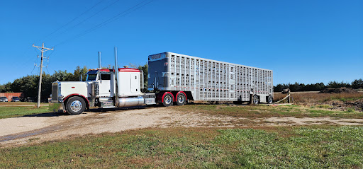 Adrian Trucking Trailer Washout - Thumbnail