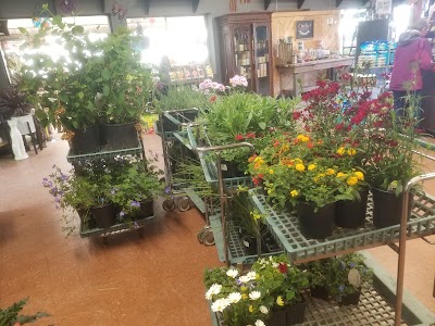 San Juan Nurseries Inc