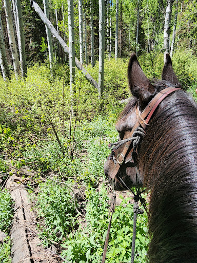 Red Pine Adventures - Thumbnail