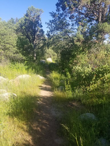 Centennial trail Parking - Thumbnail