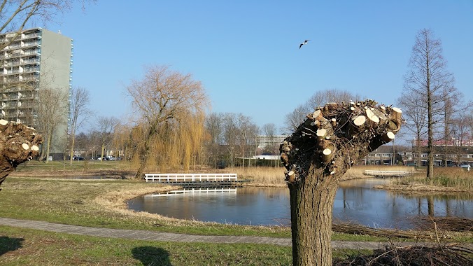 Mayor in 't Veld Park, Author: Cornelis van Wier