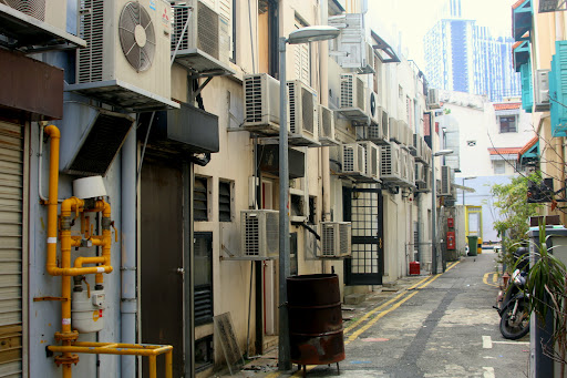 Blair Plain conservation area Gallery - Singapore