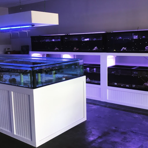 The Fish Store / Custom Aquariums - Thumbnail