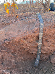 Photo n°4 de AGRONOMIE TERROIRS à Averan (Ingénieur.e agronome)