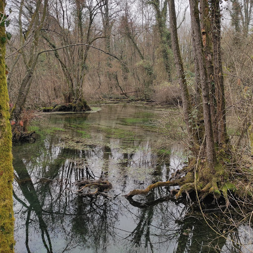 Parco dello Storga - ingresso ovest