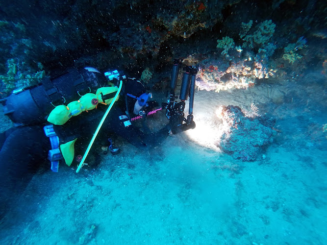 ATIS Diving Club - Corsi e immersioni sub Lago di Garda
