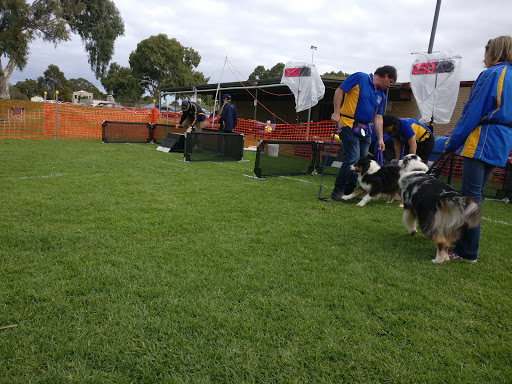 Dover Gardens Kennel & Obedience Club Inc.