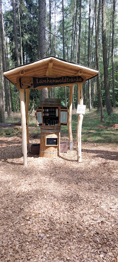 Lärchenwaldtränke - Visual