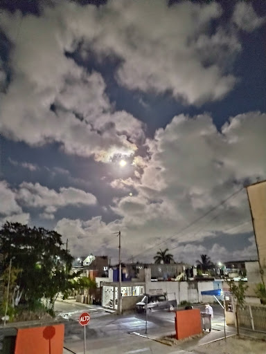 site_photo3