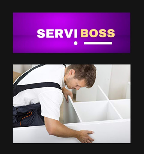 SERVIBOSS - Visual
