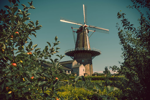 Stadspark - Visual