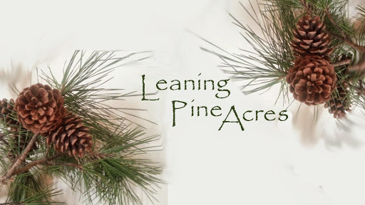 LeaningPineAcres.com - Visual