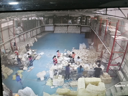 productora agricola san pedro - Thumbnail