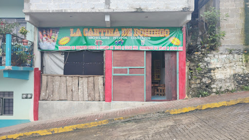 LA CANTINA DE DOMINGO