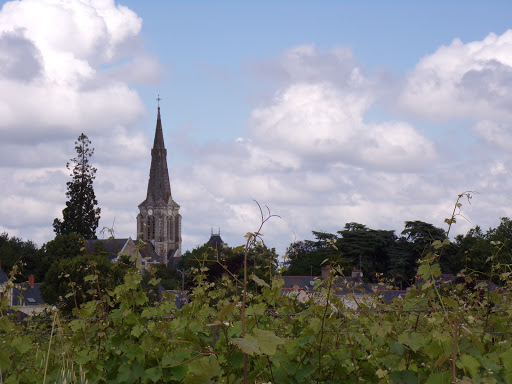 Eglise Saint Aubin d'Epiré - Thumbnail