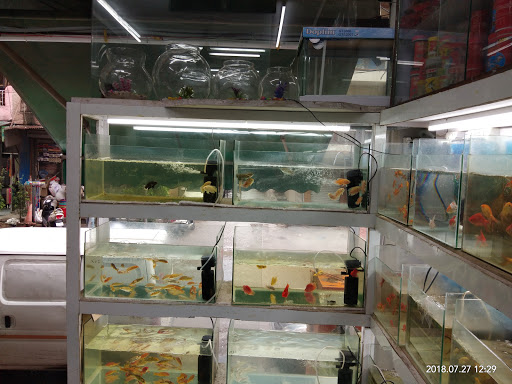 New Fish Point - Thumbnail