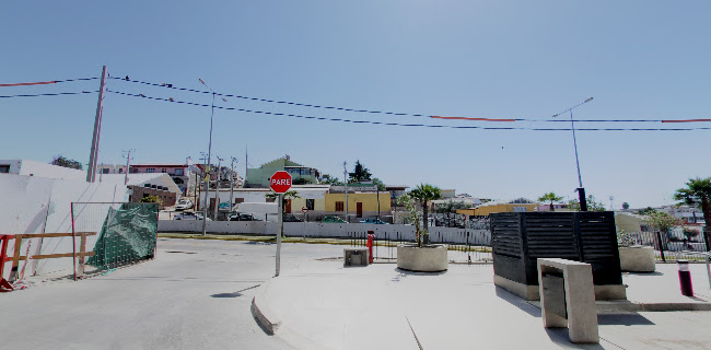 Arenas de Coquimbo - Coquimbo