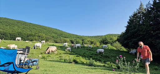 Tuoppito - Visual