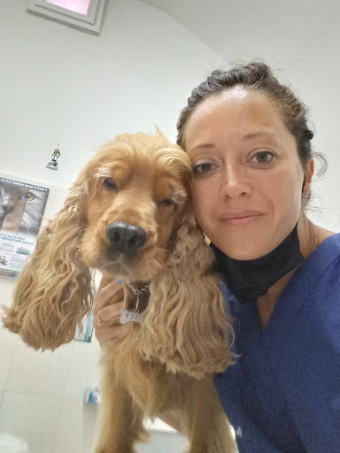 Ambulatorio Veterinario Cellamare - Thumbnail