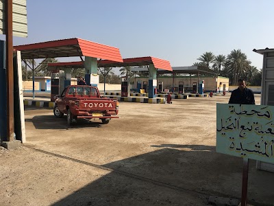 Photos of Fuel spring palm plant built