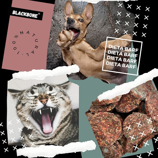 Black Bone | Dieta BARF para mascotas Gallery - Spain