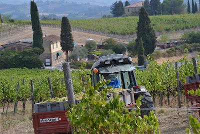 Azienda Agricola San Quirico