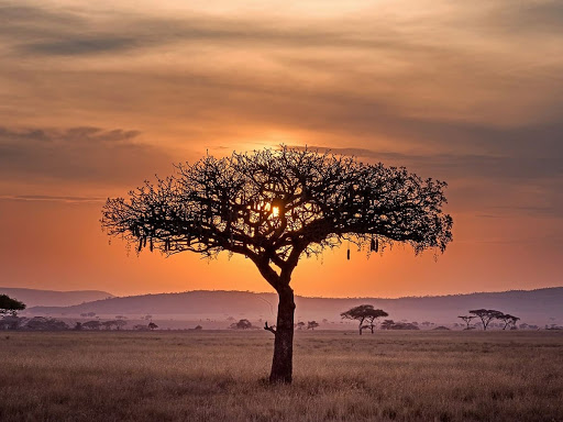 Leo Africa Safaris - Thumbnail