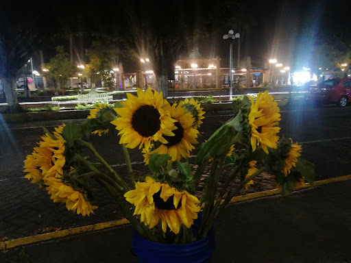 Floristería Portales - Thumbnail