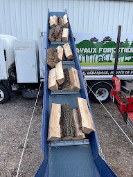 Photo n°24 de Rp.Travaux Forestier à Andrézieux-Bouthéon (Service d'élagage)