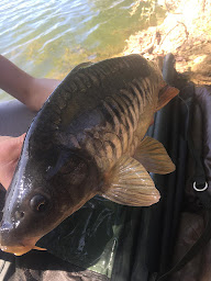 Photo n°16 de Le Cadre de Pêche à Saint-Jean-de-Monts (Club de pêche)