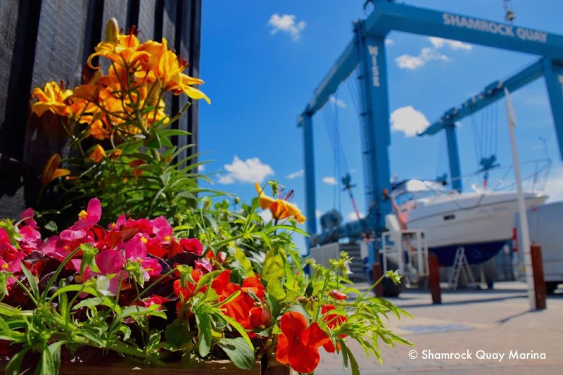 Shamrock Quay photo 2