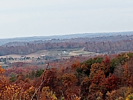 Pike State Forest - Visual