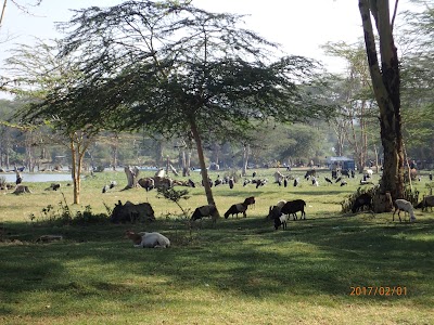 Photos of Marina Camp Site
