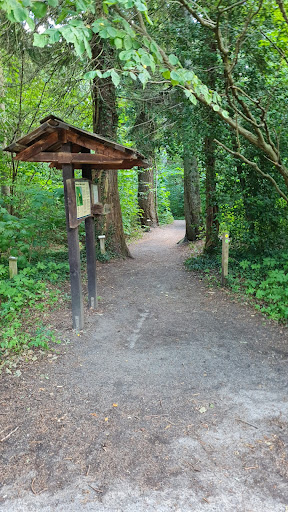 Hälleviks arboretum start - Thumbnail